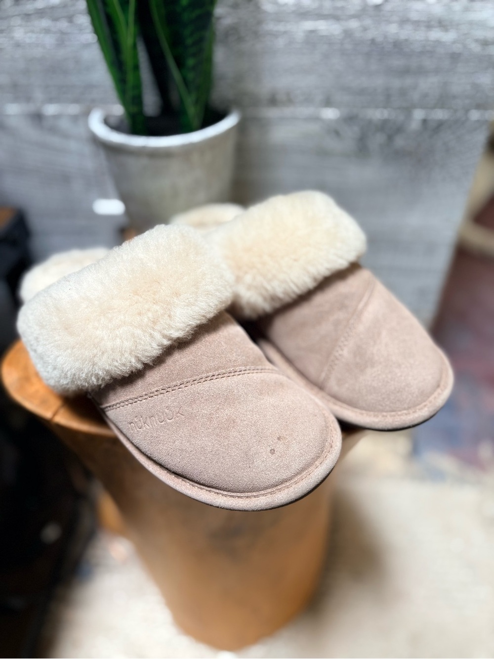 Nuknuuk | Sheepskin Plush Suede Slip-On Mule Slippers - Women's 8, Beige/White